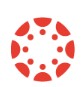 Canvas logo
