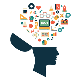 Curriculum Graphic 