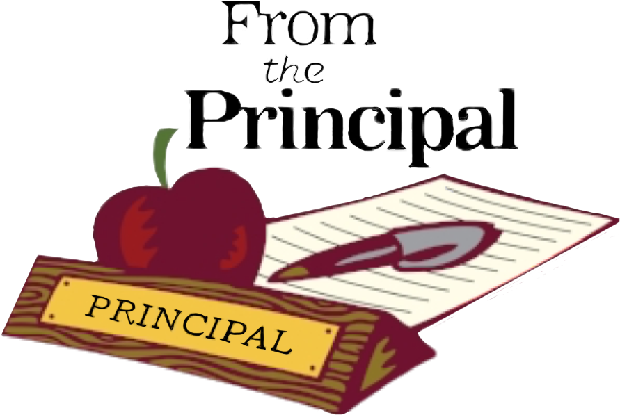 Mill Street Parent Newsletter