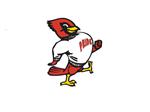 Redbird Redbird