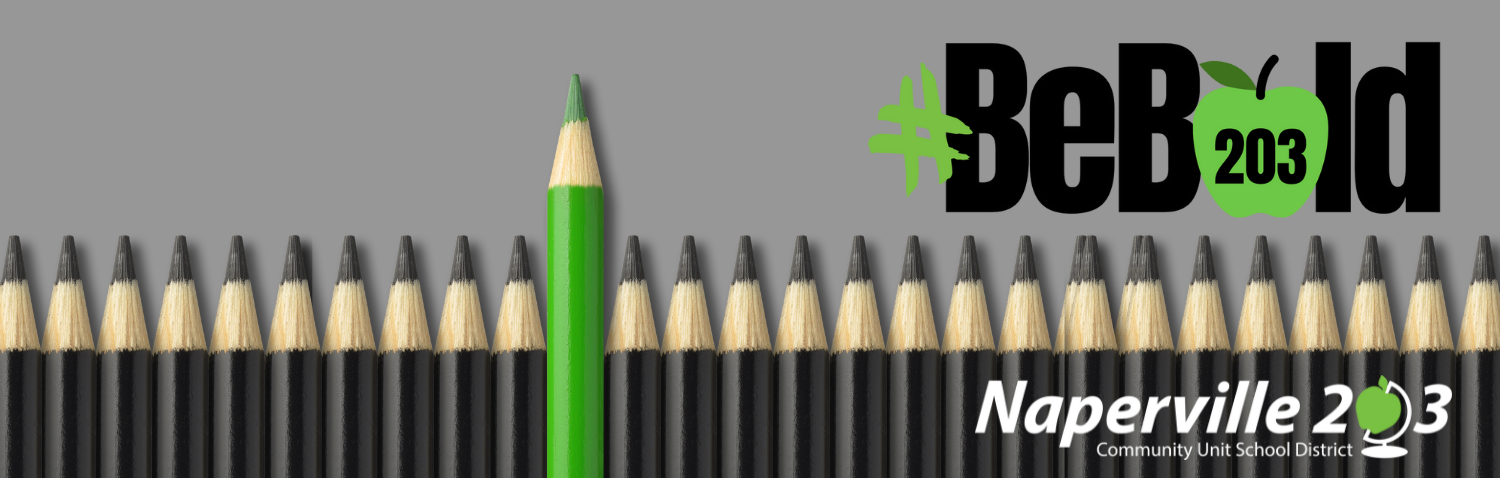 Naperville 203 Calendar 2023 Naperville Community Unit School District 203 / Homepage